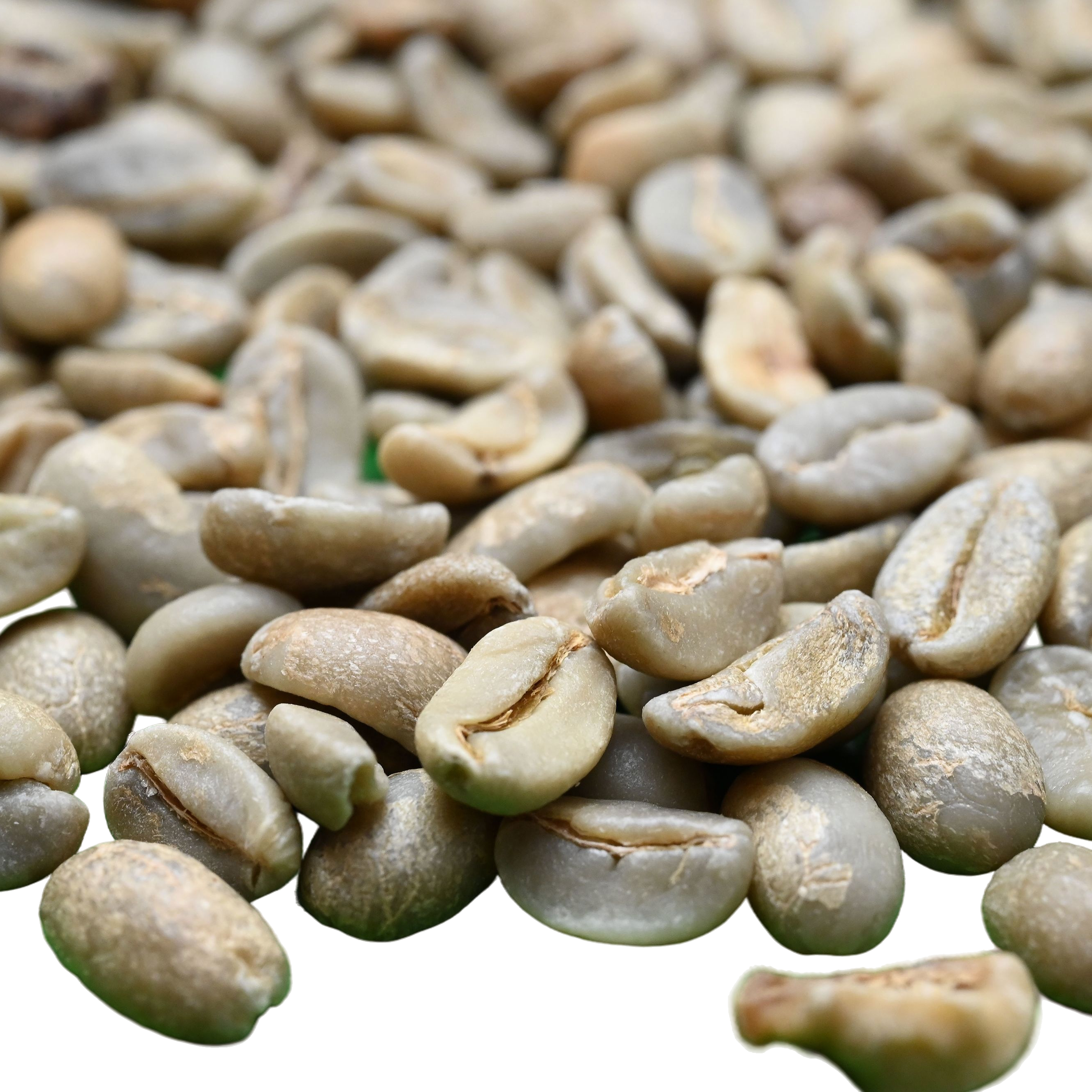 Grade Y Coffee